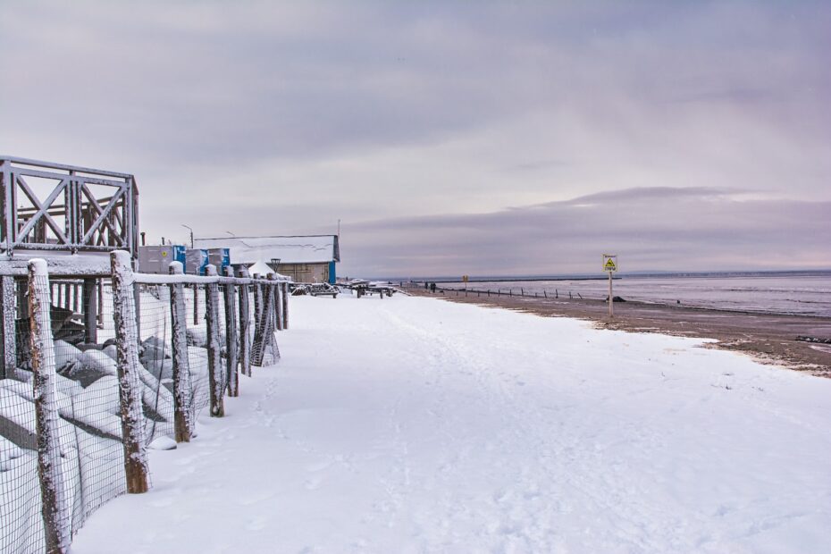 Vinterbadning ved stranden